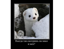 19.02.2010 9:02:58