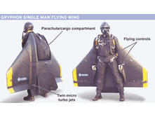 batwings