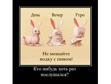 19.02.2010 9:03:23