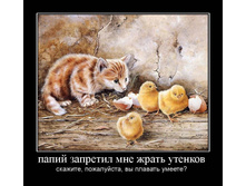 19.02.2010 9:03:27