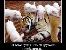 19.02.2010 9:03:37