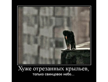 19.02.2010 9:03:43
