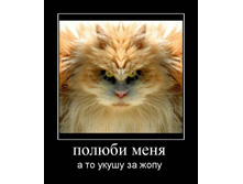 19.02.2010 9:03:49