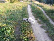 20130909_185234_1.jpg