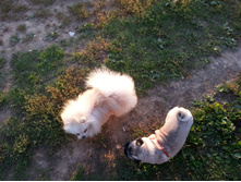 20130909_185450_1.jpg