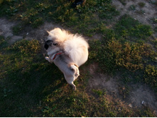 20130909_185450_5.jpg