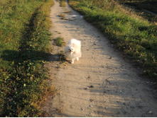 DSCN1880.JPG