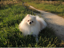 DSCN1885.JPG