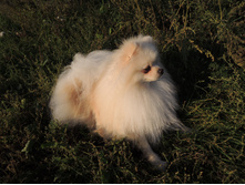 DSCN1890.JPG