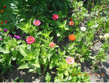 DSCN0225.JPG