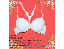 5-9329-5.jpg