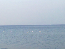 01092013789.jpg