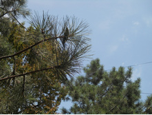 DSCN1816.JPG