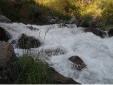 DSCN1861.JPG