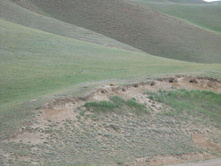 DSCN1930.JPG
