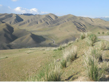 DSCN1936.JPG