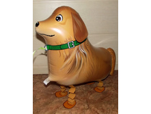 DSCF2115.JPG