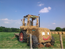 313. ��� � ���������.jpg