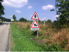 316. ���� �� ����� ������ ������.jpg