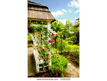 stock-photo-garden-57201322.jpg