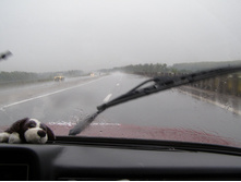 ������ (Good rain)