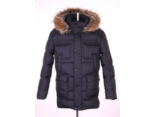 31706.png