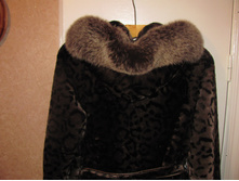 img1303.JPG