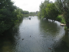 IMG_8710.JPG