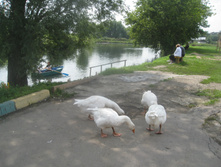 IMG_8714.JPG