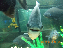 DSCN3119.JPG