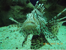 DSCN3138.JPG