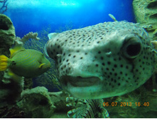 DSCN3142.JPG