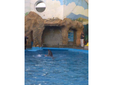 29082013647.jpg