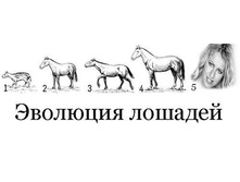 14.09.2007 11:13:56