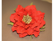 IMG_97055.jpg