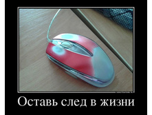 20.09.2013 14:41:53
