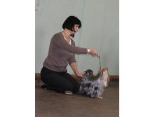 1-IMG_5335.JPG