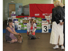 1-IMG_5376.JPG