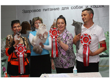 IMG_111-09752.jpg