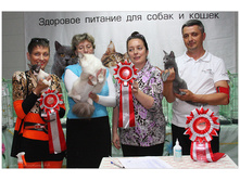 IMG_111-09753.jpg