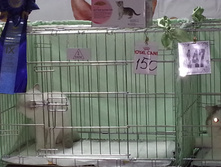 20130915_124800.jpg