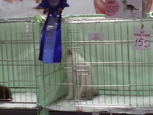 20130915_124810.jpg