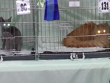 20130915_124822.jpg