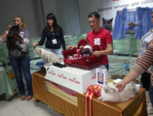 20130915_133900.jpg