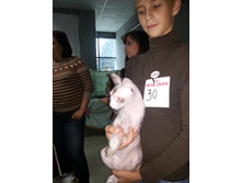 20130915_134157.jpg