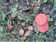 ����-0175.jpg