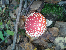 ����-0177.jpg