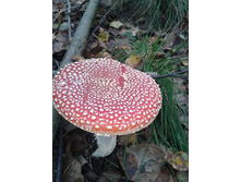 ����-0178.jpg