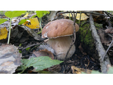 2013-09-17-255.jpg