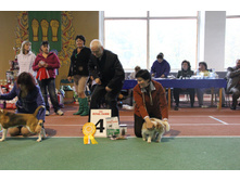 IMG_5794.JPG